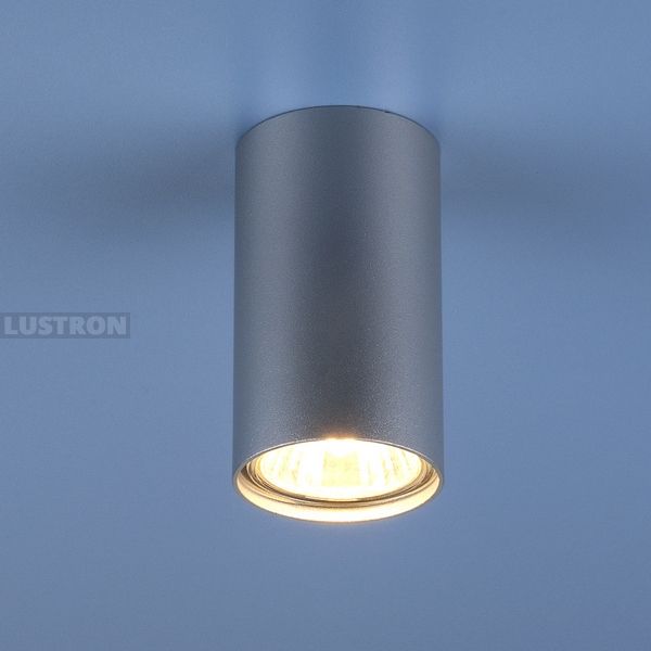 

Накладной светильник (5257) SL серебряный Elektrostandard 1081 GU10, Серебро, 1081 1081 (5257) GU10 SL серебряный