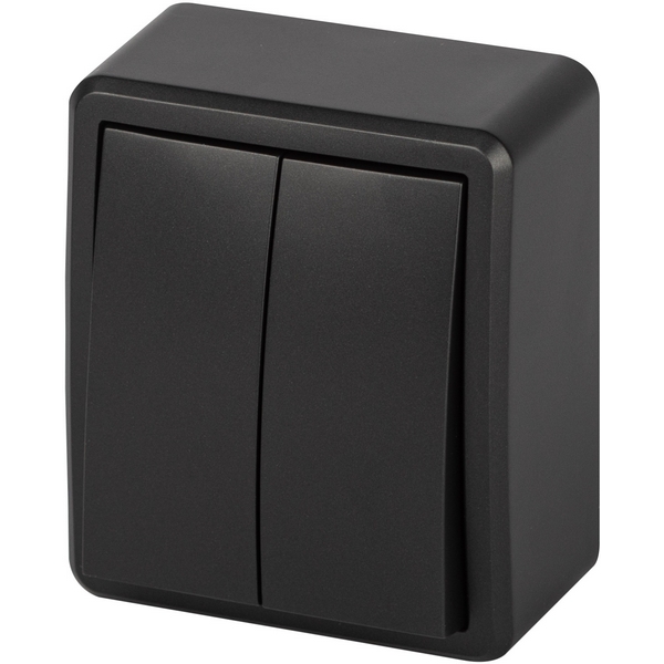 

Выключатель двухклавишный (антрацит) ЭРА 11-1204-05, Черный, 11-1204-05
