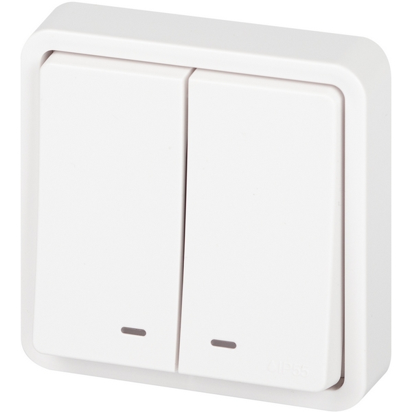 Изображение товара Накладной двухклавишный выключатель с подсветкой IP55 ЭРА 11-1525-01