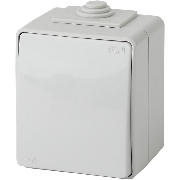 

Проходной переключатель накладной одноклавишный (серый) IP65 ЭРА 11-1603-03, 11-1603-03