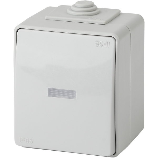 

Проходной переключатель накладной одноклавишный с подсветкой (серый) IP65 ЭРА 11-1610-03, 11-1610-03