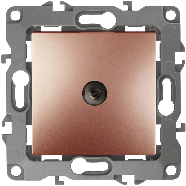 

ТВ-розетка встраиваемая проходная (медь) ЭРА 12-3102-14, 12-3102-14