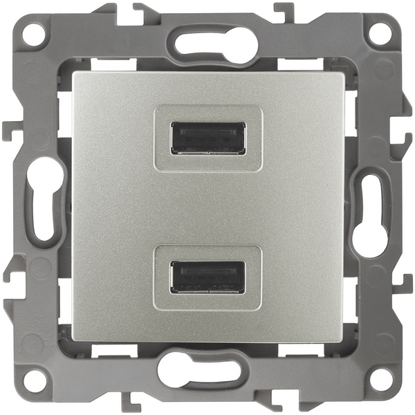 Изображение товара Встраиваемая USB розетка ЭРА перламутровая 12-4110-15