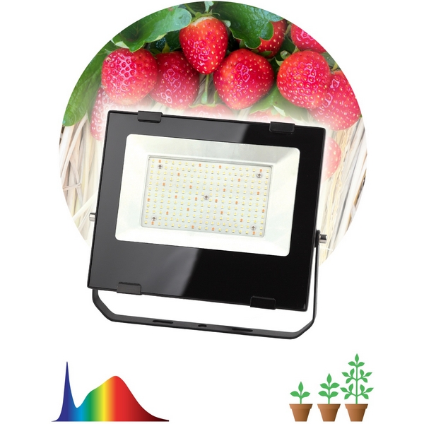 Изображение товара Светильник для растений ЭРА FITO-100W-Ra90-LED водонепроницаемый для дома и теплиц