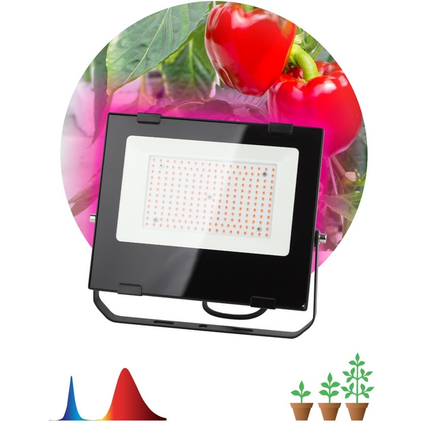 Изображение товара Светильник для растений ЭРА FITO 100W RB LED - эффективное освещение для выращивания