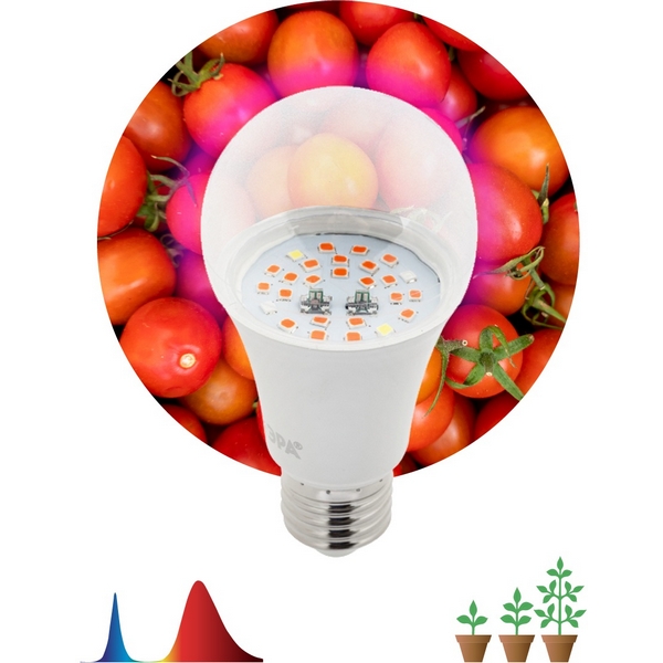Изображение товара Фитолампа E27 10 Вт ЭРА FITO-10W-RB-E27