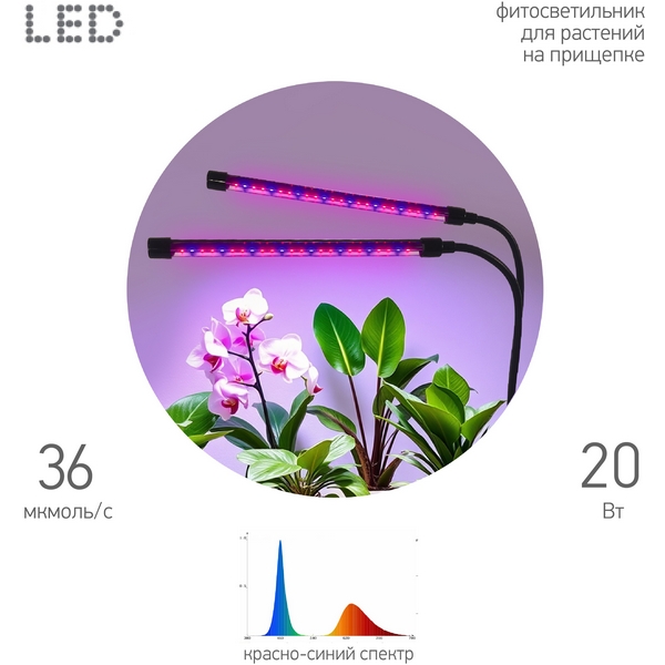 Изображение товара Настольная светодиодная лампа для растений ЭРА FITO 20W АLED RB