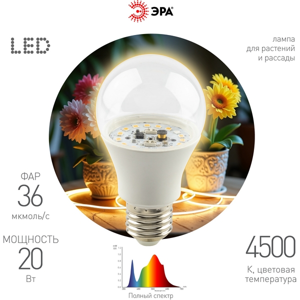 Изображение товара Фитолампа E27 20 Вт ЭРА FITO-20W-Ra90-E27 Изображение товара Фитолампа E27 20 Вт ЭРА FITO-20W-Ra90-E27