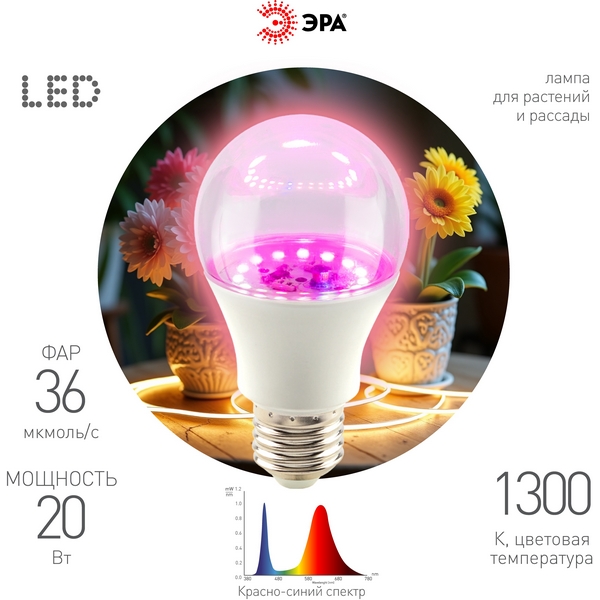 Изображение товара Светодиодная фитолампа ЭРА 20 Вт E27 красно-синяя для растений