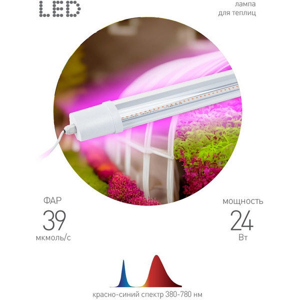 Изображение товара Светильник для растений LED ЭРА FITO-24W-RB-N современный дизайн