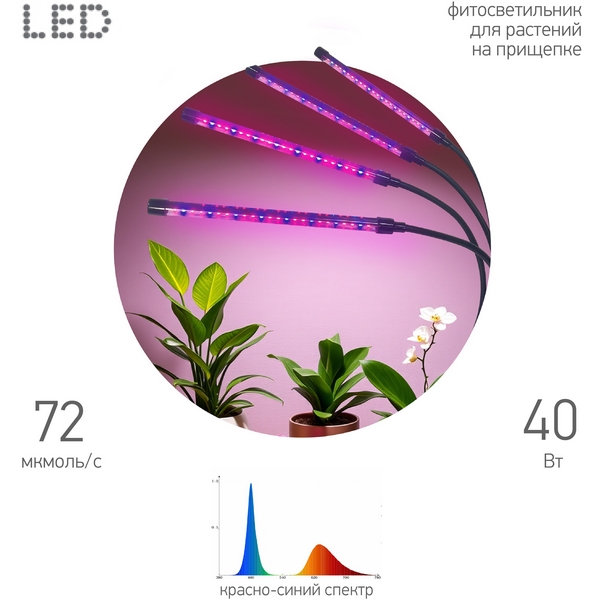 

Настольная лампа для растений светодиодная на прищепке ЭРА FITO-40W-АLED-RB, Черный, FITO-40W-АLED-RB