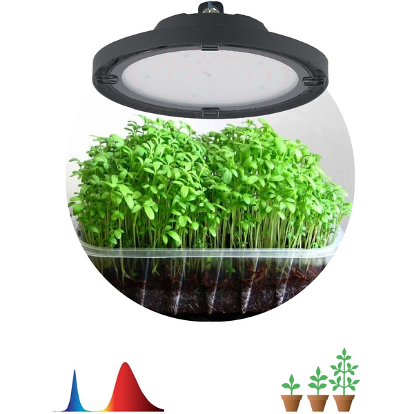 Изображение товара Светильник для растений ЭРА FITO 50W UFO LED IP65 для роста комнатных и тепличных растений