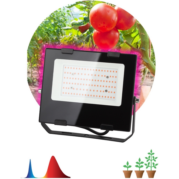 Изображение товара Светильник для растений ЭРА FITO 50W RB LED светодиодное освещение для выращивания