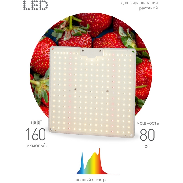 

Светильник для растений светодиодный подвесной ЭРА FITO-80W-LED-QB, FITO-80W-LED-QB