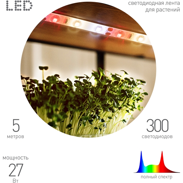 Изображение товара Светодиодная лента для растений 12V 5м ЭРА FITO-Strip Light-Rа90-300LED-IP65