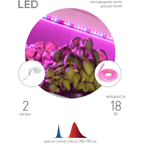 Изображение товара Светодиодная лента для растений ЭРА FITO-Strip Light-RB-2m 1400K красно-синий Изображение товара Светодиодная лента для растений ЭРА FITO-Strip Light-RB-2m 1400K красно-синий