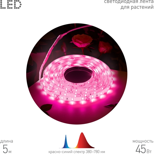 

Светодиодная лента для растений 12V 5м ЭРА FITO-Strip Light-Rb-45W-5m-12V-IP65, FITO-Strip Light-Rb-45W-5m-12V-IP65
