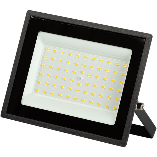 Изображение товара Уличный светодиодный прожектор ЭРА LPR-02 50 Вт IP65 для фасада и двора
