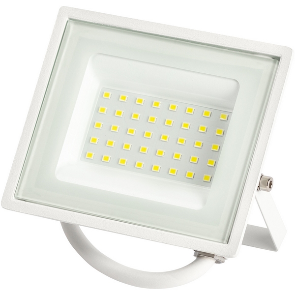 

Прожектор уличный светодиодный ЭРА LPR-02 LPR-023-W-65K-030, Белый, LPR-02 LPR-023-W-65K-030