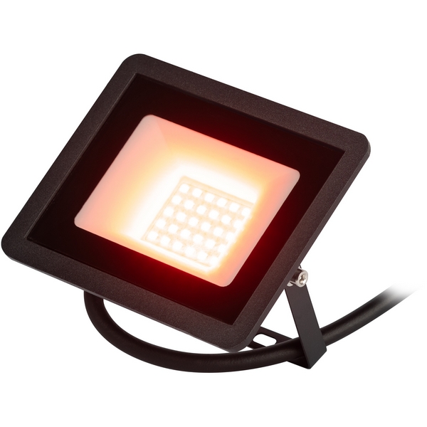 Изображение товара Прожектор уличный светодиодный красное свечение ЭРА LPR-02 LPR-025-RED-030