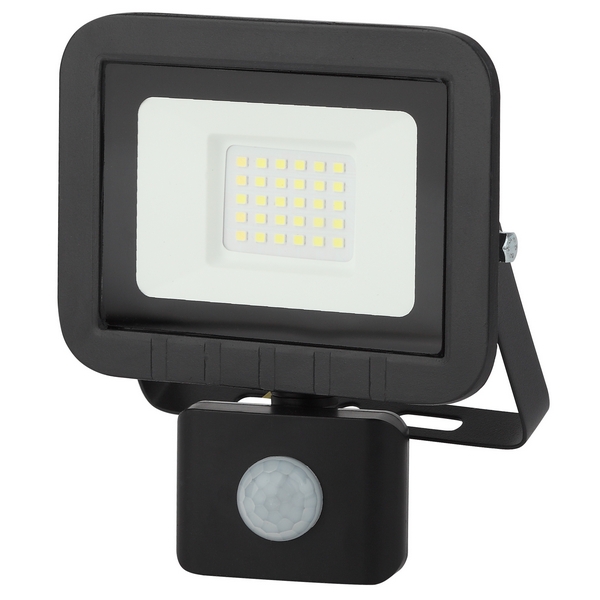 

Прожектор уличный светодиодный IP65 ЭРА LPR-041-2-65K-030, Черный, LPR-041-2-65K-030