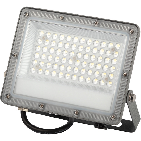 

Прожектор уличный светодиодный ЭРА LPR-06 LPR-063-0-65K-050, Серый, LPR-06 LPR-063-0-65K-050