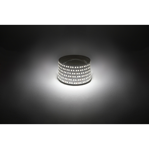 Изображение товара Светодиодная лента 12V 5м белый дневной ЭРА LS2835-14,4-180-12-4000K-IP20-1 year-5m