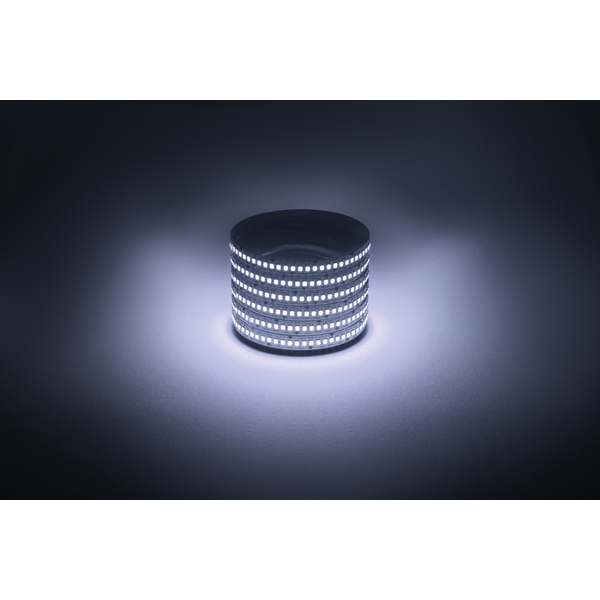 Изображение товара Светодиодная лента 12V 5м белый холодный ЭРА LS2835-19,2-240-12-6500K-IP20