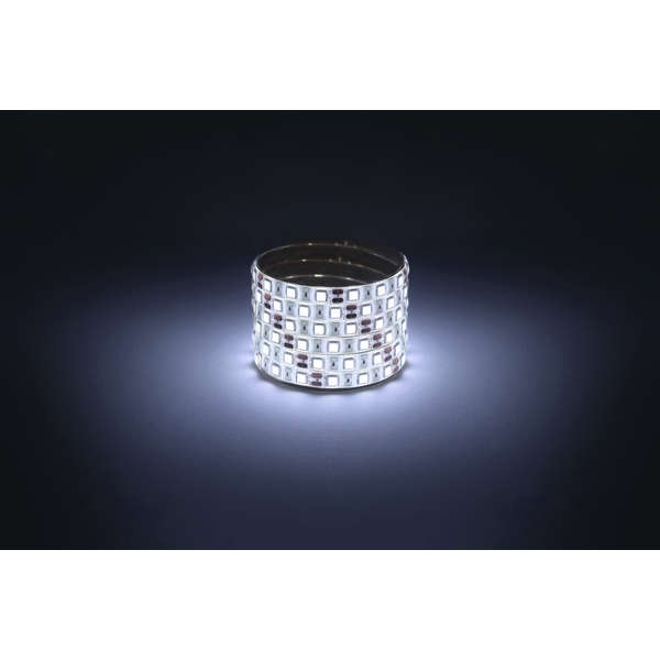 Изображение товара Светодиодная лента 12V 5м белый холодный ЭРА LS5050-14,4-60-12-6500K-IP65