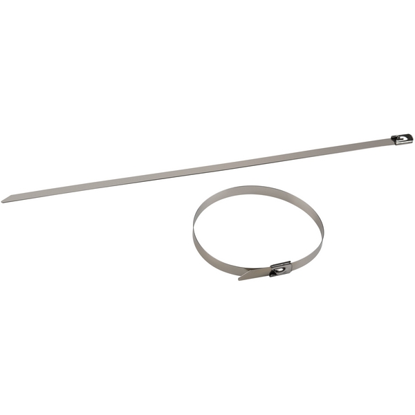 

Хомут стальной 7,9x300мм 50 шт. ЭРА NO-225-242, NO-225-242