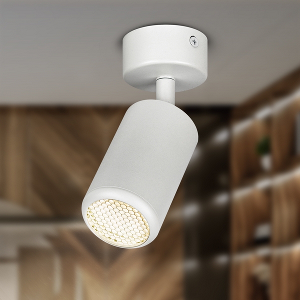 Изображение товара Спот ЭРА OL55 WH светодиодный для потолка и стены стиль Техно белый