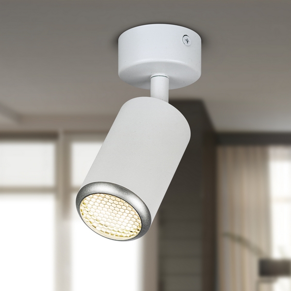 Изображение товара Спот ЭРА OL55 WH/SL современный светильник для интерьера с LED лампой