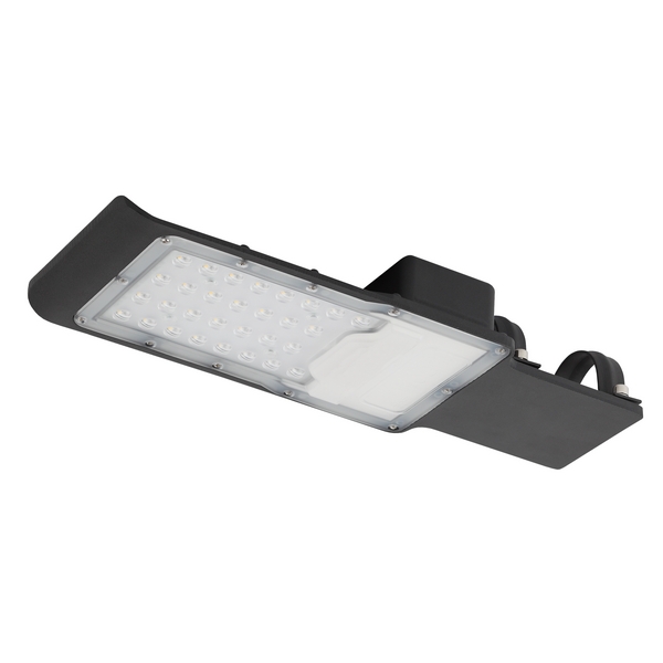 

Консольный светильник светодиодный IP65 ЭРА SPP-503-0-50K-030, Черный, SPP-503-0-50K-030