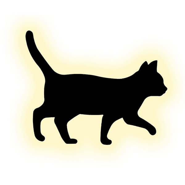 Изображение товара Настенный светильник светодиодные Escada Tom 10209/SG LED 5W Black