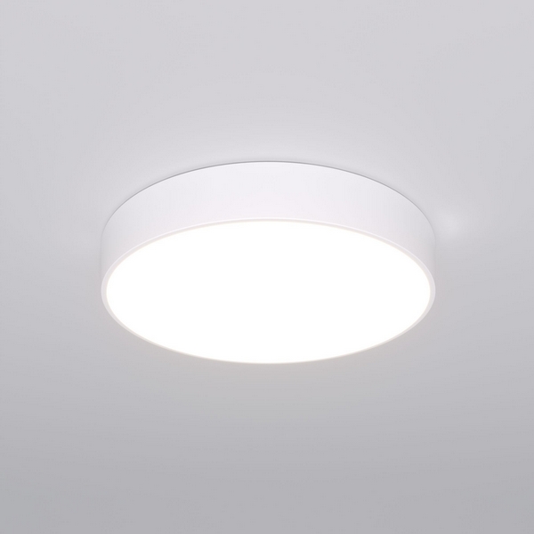 

Потолочный светодиодный светильник круглый с пультом Eurosvet Entire 90319/1 белый, Entire 90319/1 белый