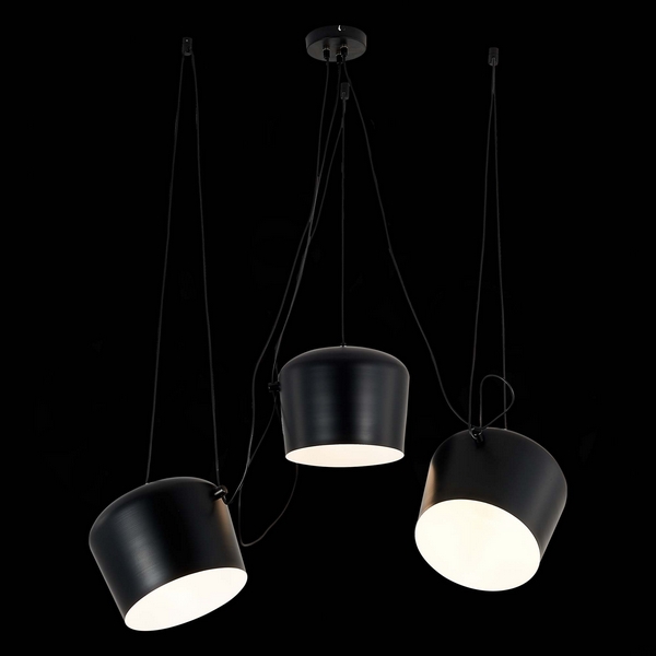 

Подвесной светильник Evoluce Trieste SLE120643-03.1, Черный, Trieste SLE120643-03.1