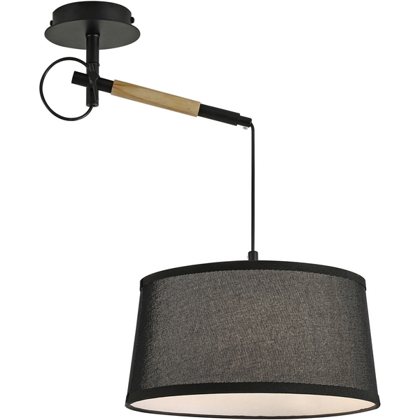

Настенно-потолочный светильник F-Promo Eureka 3006-1P, Черный, Eureka 3006-1P