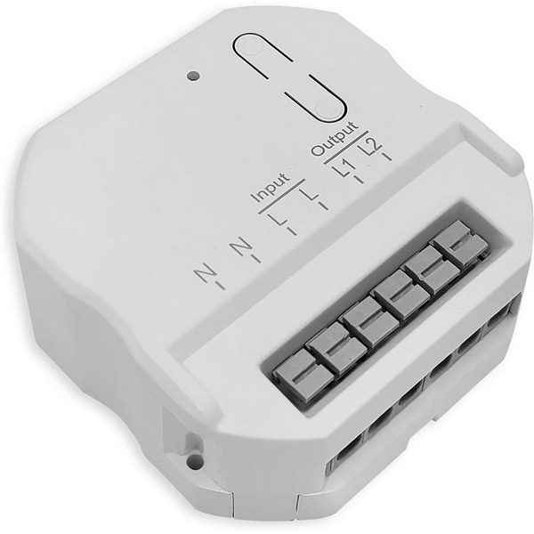 

Контроллер Feron LD303 48531 для управления осветительным оборудованием на 2 канала, радиочастотный 2.6А канал, 48531