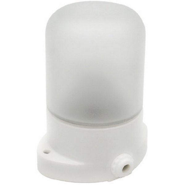 

Настенно-потолочный светильник Feron Светильник НББ 01-60-101 УХЛ1 53164, Белый, Светильник НББ 01-60-101 УХЛ1 53164