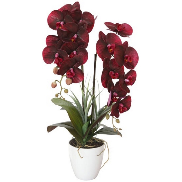 

Орхидея бордовая в горшке h58 см Garda Decor 29BJ-170-12, 29BJ-170-12