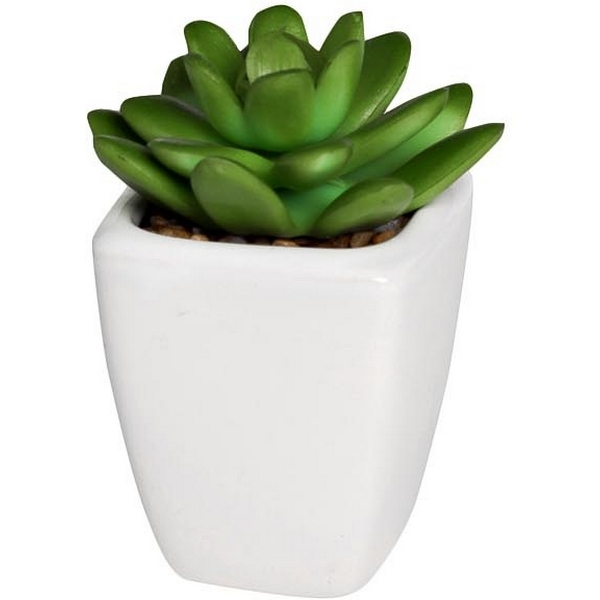 

Суккулент в горшочке 10 см (12) Garda Decor 8J-1735124, 8J-1735124