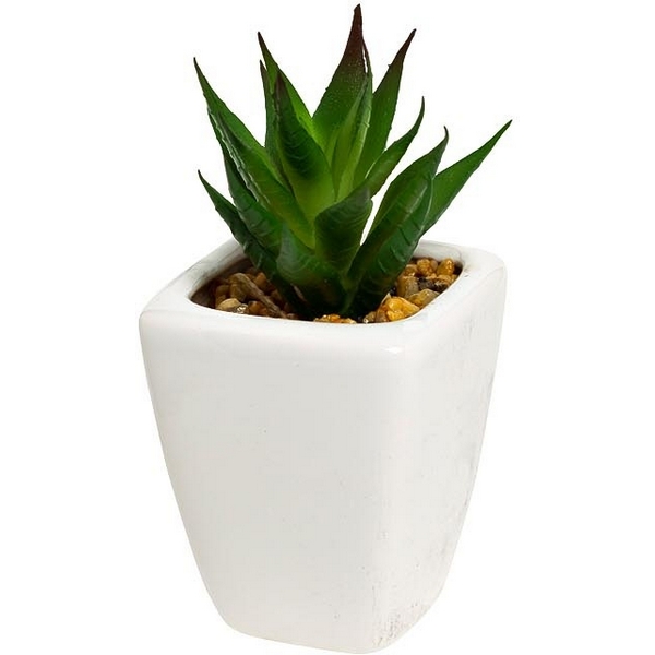 

Суккулент в горшочке 11 см (12) Garda Decor 8J-1735380, 8J-1735380