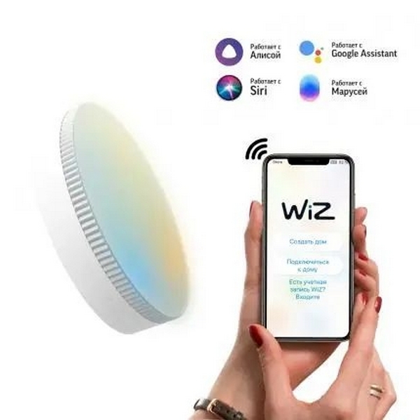 

Лампочка светодиодная 6W Gauss Smart Light 1400112, Smart Light 1400112