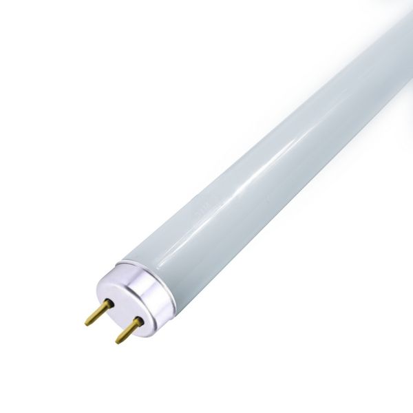

Лампочка T8 600mm G13 10W 6500K 1/25 Gauss Elementary 93030, Elementary 93030