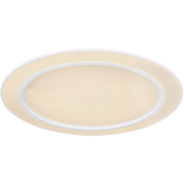 

Потолочный светильник светодиодный с пультом и диммером регулировкой цветовой температуры яркости Globo Dahla 48549-45, Белый, Dahla 48549-45