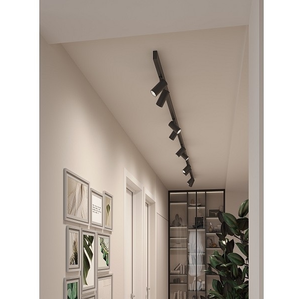 Изображение товара Трековая система в сборе магнитная накладная 48V 120W Hesby Lighting ElDeko HSBL_kompl_E003_NI4B4K Изображение товара Трековая система в сборе магнитная накладная 48V 120W Hesby Lighting ElDeko HSBL_kompl_E003_NI4B4K