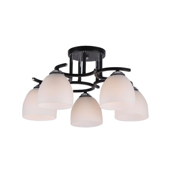 

Потолочная люстра MD.0480-5-S Imex CH, MD.0480-5-S CH