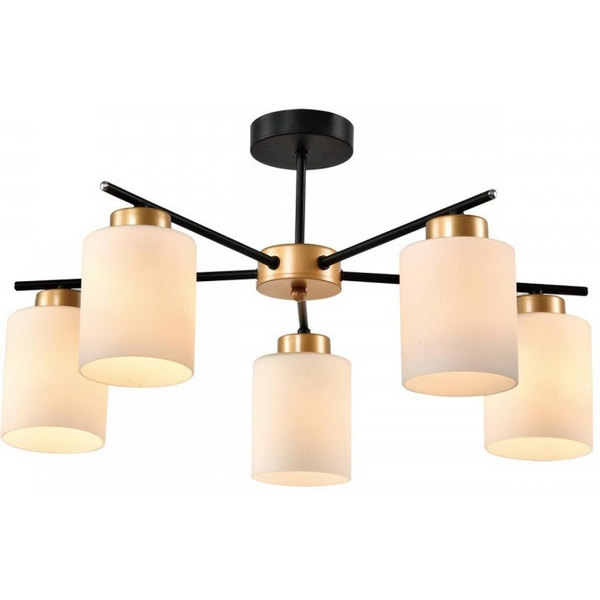 

Потолочная люстра на штанге Imex MD.22436-5-S-BK+MGD, Белый, MD.22436-5-S-BK+MGD