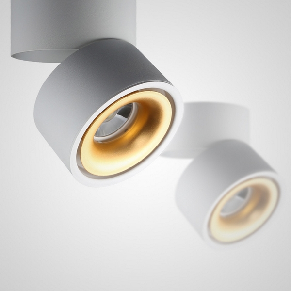 

Потолочный светильник LED Agenda White+Gold 10W ImperiumLoft Agenda01 (191836-26), Белый, AGENDA01