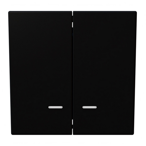 

Выключатель двухклавишный с подсветкой (черный матовый) Jasmart FD FD3023NPBM, FD FD3023NPBM